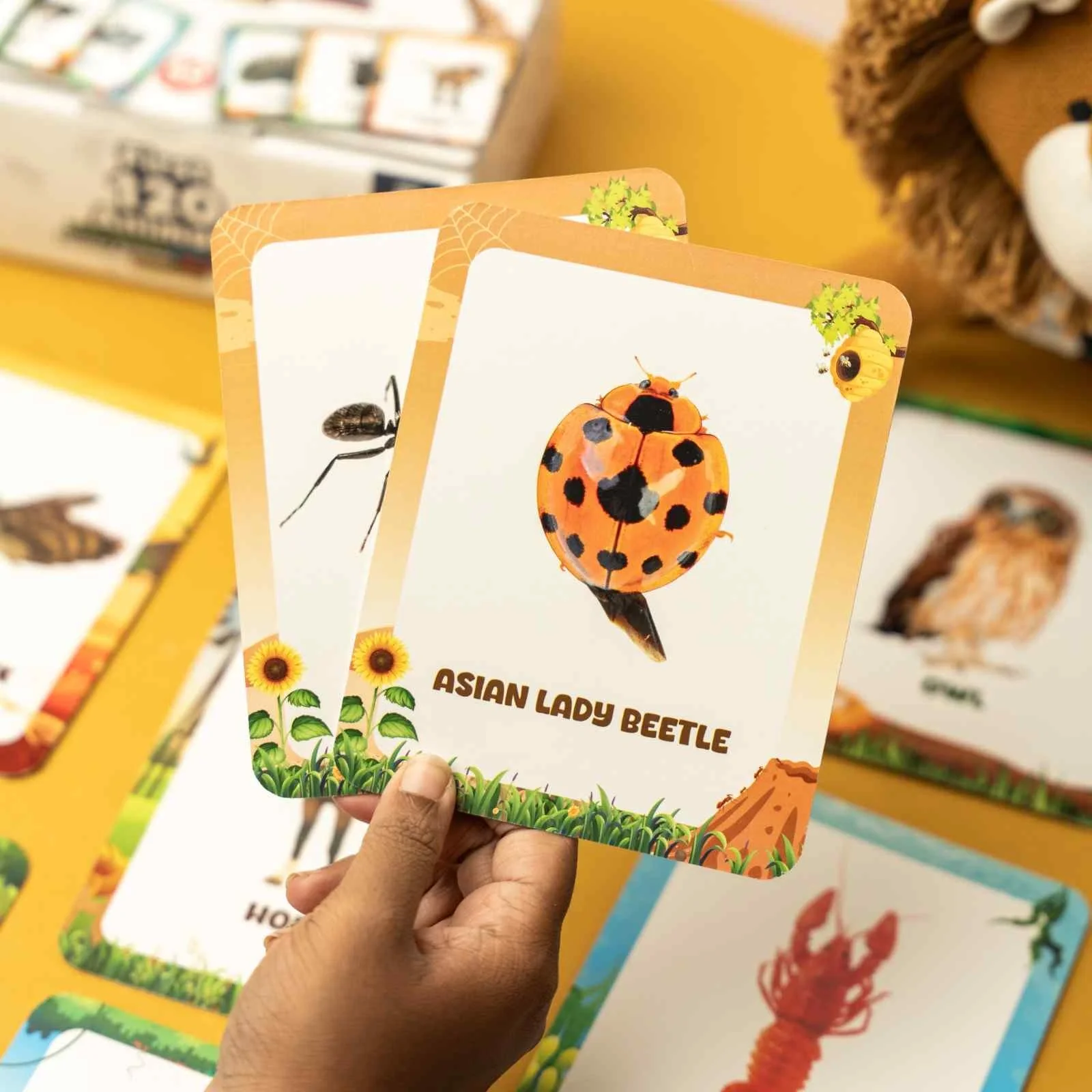 Animal Flashcards (120 Pictures) - Image 4