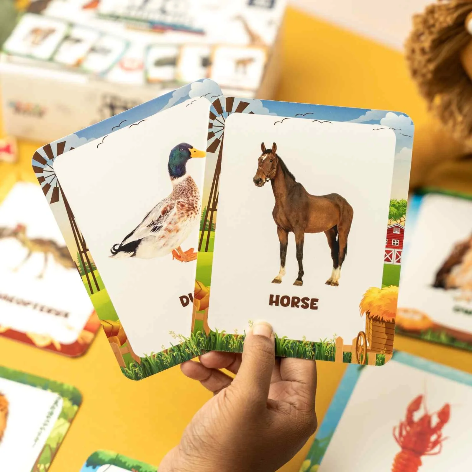 Animal Flashcards (120 Pictures) - Image 7