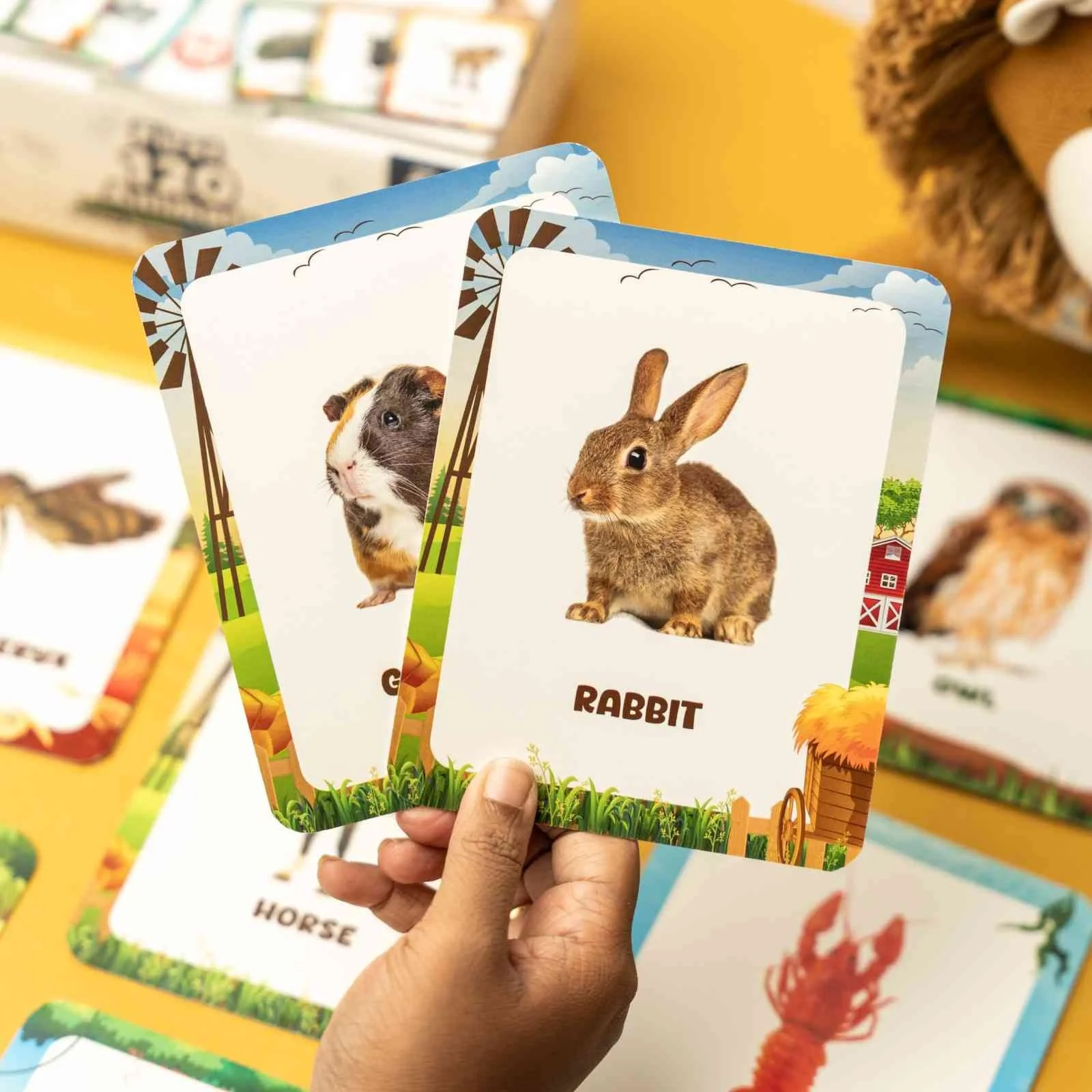 Animal Flashcards (120 Pictures) - Image 9