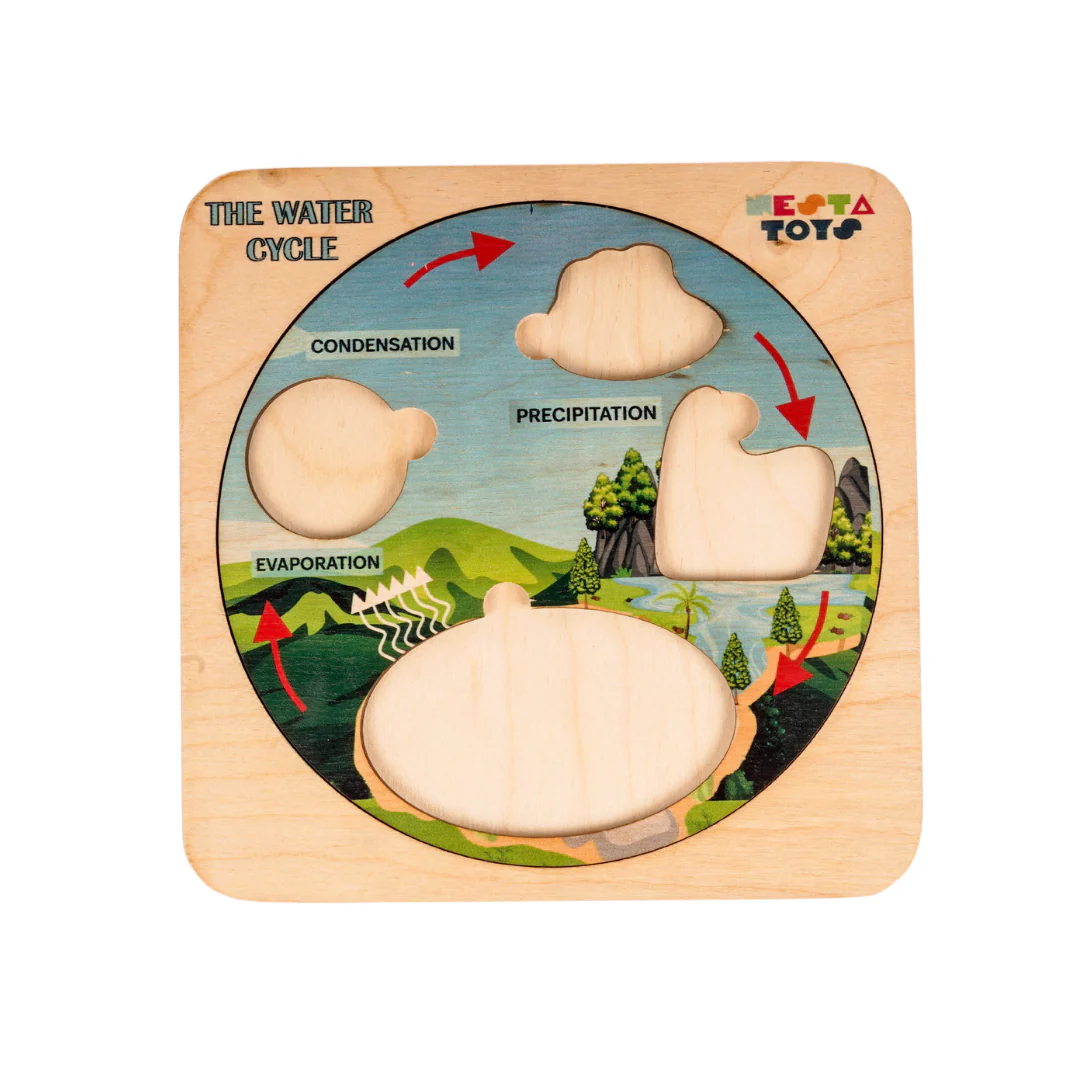 NESTA TOYS - Montessori Wooden Water Cycle Puzzle | Educational STEM Learning Toy - Image 4