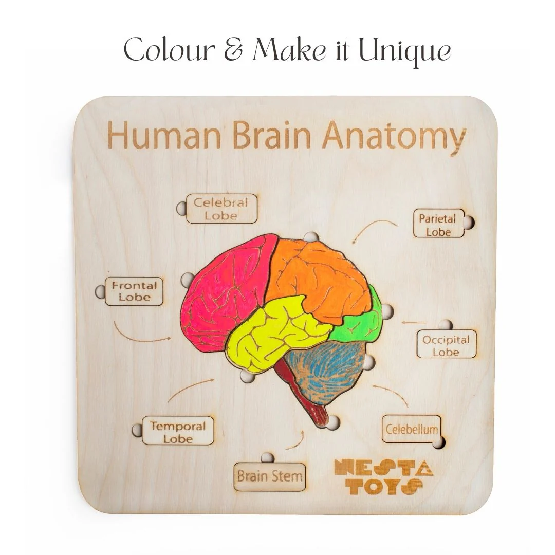 Wooden Doctor Set Toy - Pretend Play Toys & Puzzles Combo - Image 5